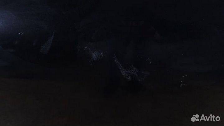 Дверь Nissan qashqai j10 передняя левая