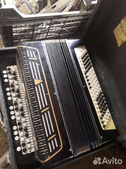 Баян сармат