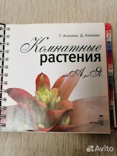 Книга 
