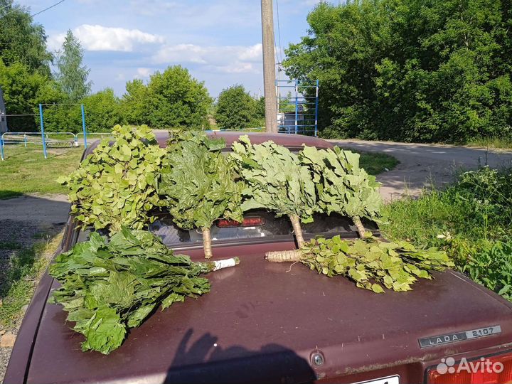 Веники для бани