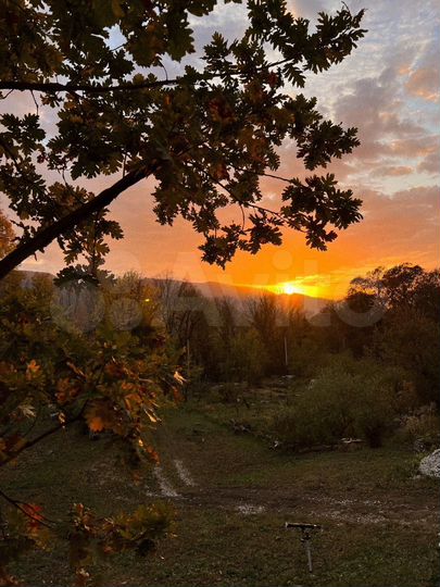 Дом 45 м² на участке 40 сот.