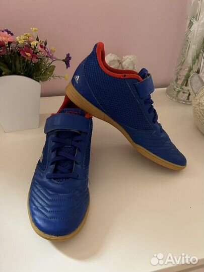 Adidas predator sala 38