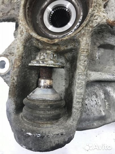 Кулак задний правый