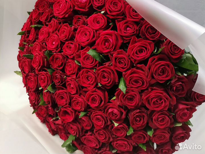 101 роза 51 31 25 15 Роза Цветы доставка