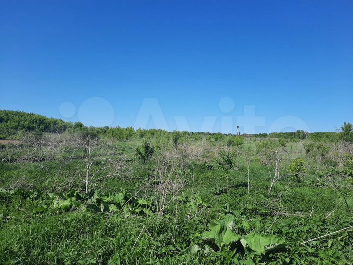 Участок 8 сот. (ИЖС)