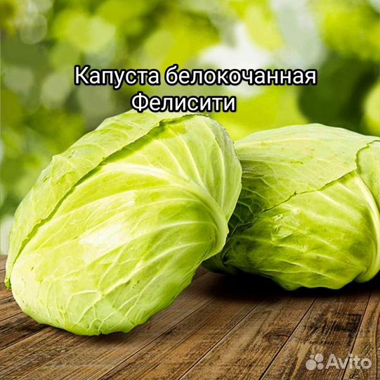 Капуста. Семена профессиональные