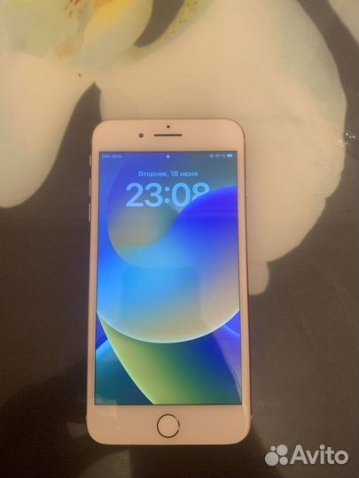 iPhone 8 Plus, 256 ГБ