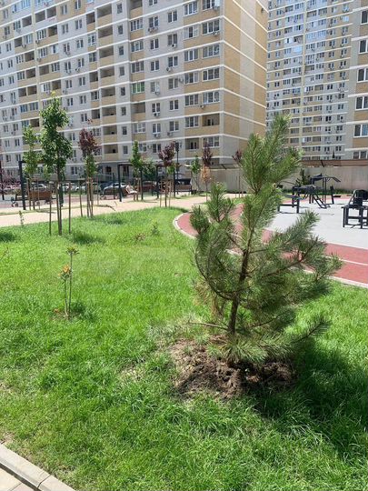 Квартира-студия, 28,1 м², 15/22 эт.