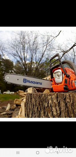 Спил деревьев