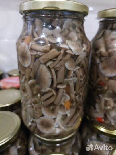 Грибы маринованные