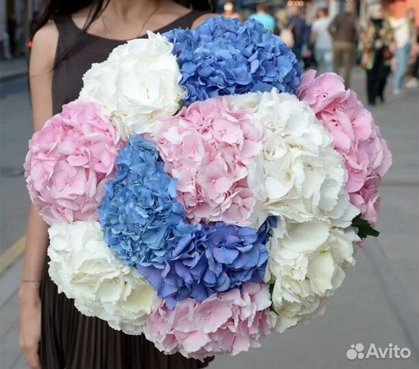 Гортензия цветы букеты