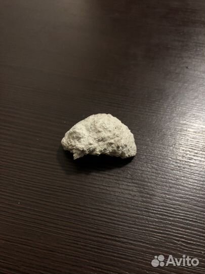 Мозг Выдры (1000 лет)