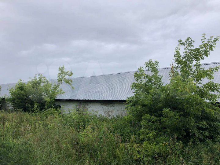 2 склада, 1557.6 м²