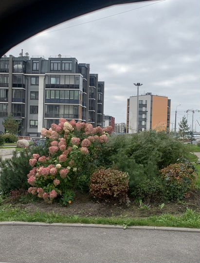 1-к. квартира, 42 м², 2/5 эт.