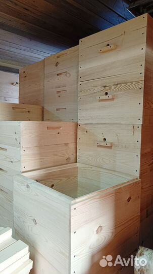 Улья дадан 12ти рамочные. Пчелы