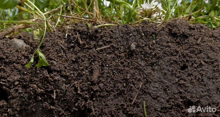 Растительный грунт