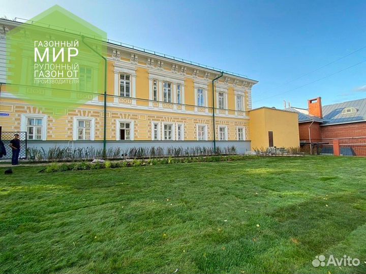 Рулонный газон