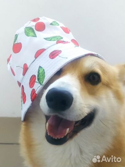 Шляпа панама женская