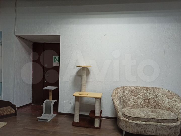 Сдам ПСН 143 м² под офис, общепит, салон красоты