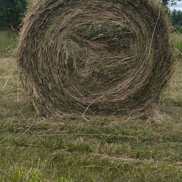 Продам сено в рулонах