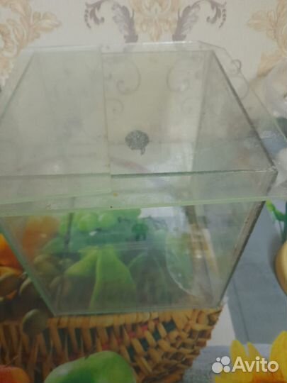 Аквариум