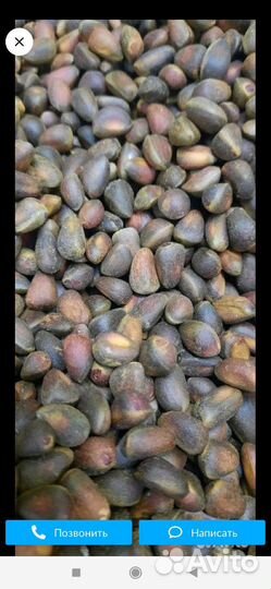 Кедровый орех