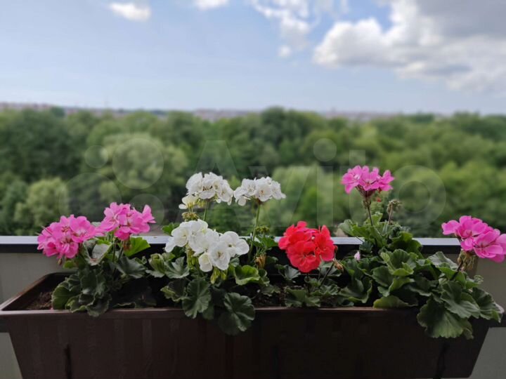 2-к. квартира, 65 м², 9/16 эт.