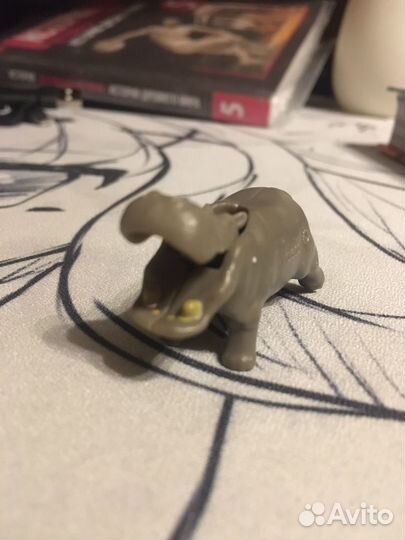 Бегемот трансвестит