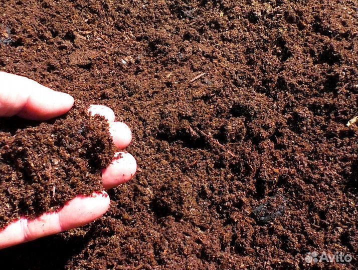 Навоз коровий.Перегной