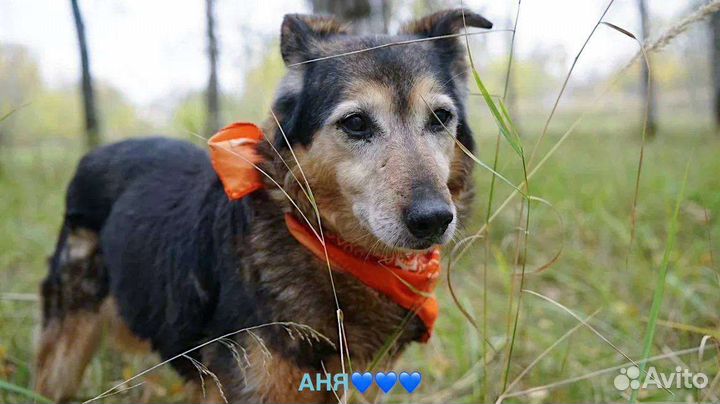 Даша ждёт своих родителей в приюте
