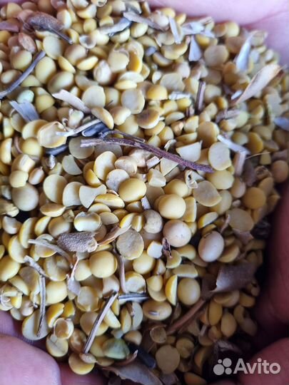 Соя колотая