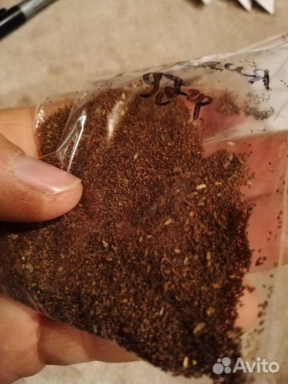 Семена Табака 97 гр