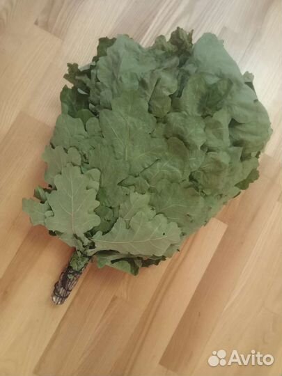 Дубовые веники для бани