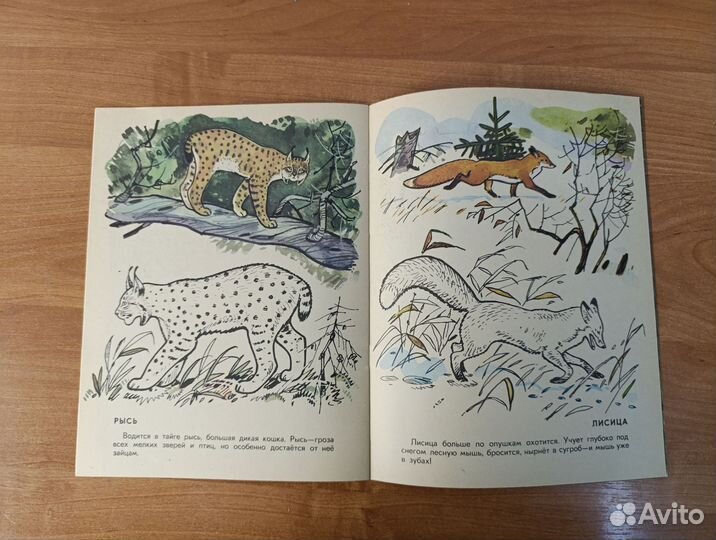 Книга детская В тайге 1988