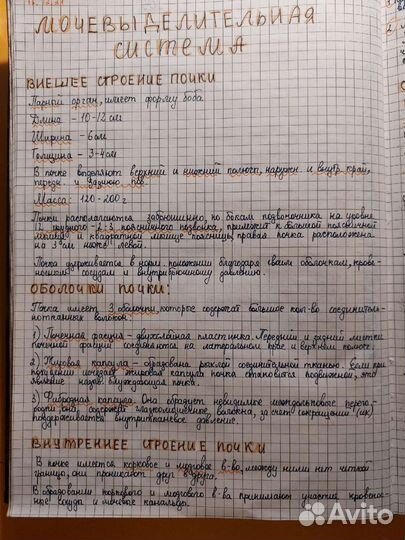 Написание конспектов и докладов