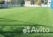 Продажа Рулонного газона