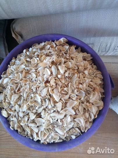 Продам ракушки для кур