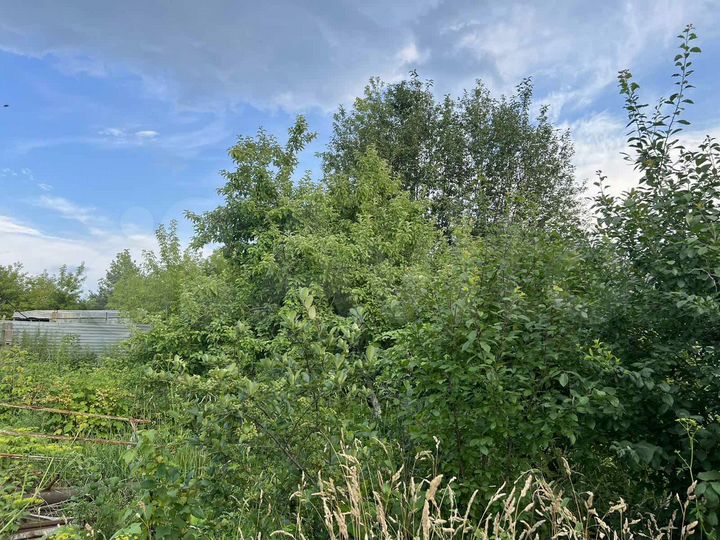 Участок 6 сот. (ИЖС)