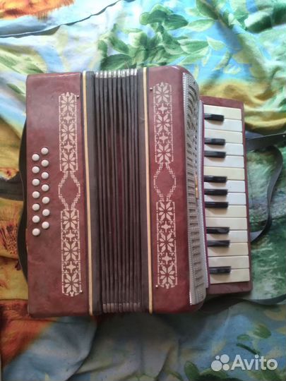 Аккордеон 