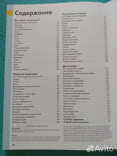 Лучшая энциклопедия для малыша от 2 лет животные