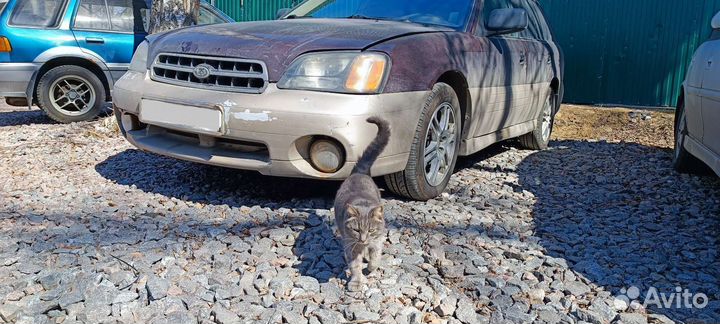 Subaru Outback 2.5 AT, 1999, 270 000 км
