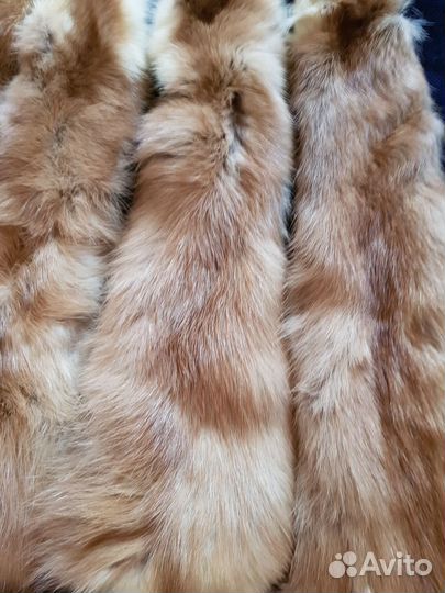 Шкуры куницы,1988г,фабричные,редкость