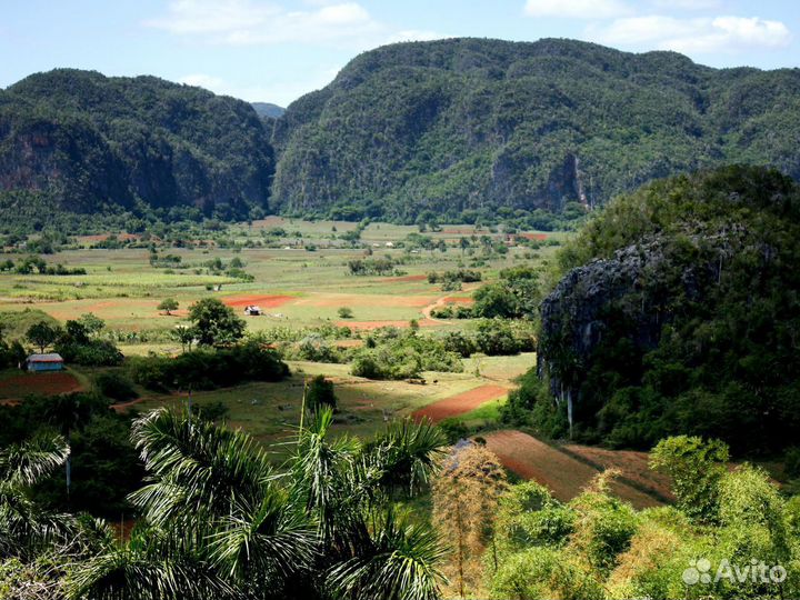 Вип-тур на о. Кубу 12 ночей