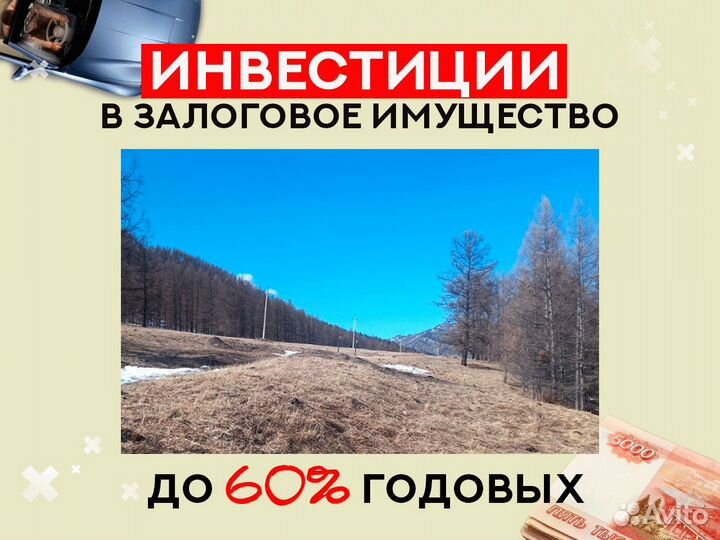 Инвестиции в землю на Алтае / коммерческая земля