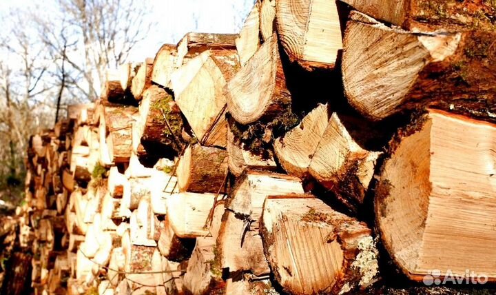 Дрова без гнили