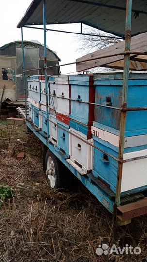 Пчелоприцеп легковой