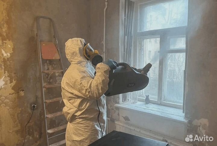 Уничтожение клопов тараканов грызунов