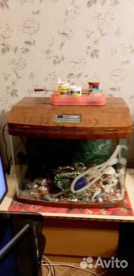 Прадаю аквариум