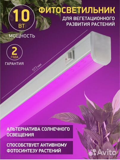 Фитолампа для растений