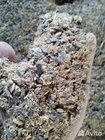 Зерноотходы